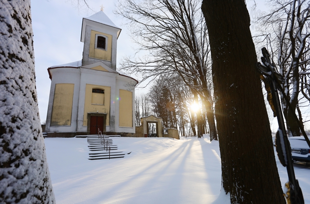 Branišov