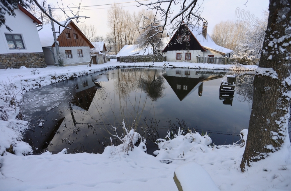 Branišov