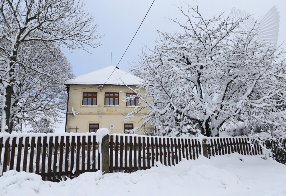 Branišov