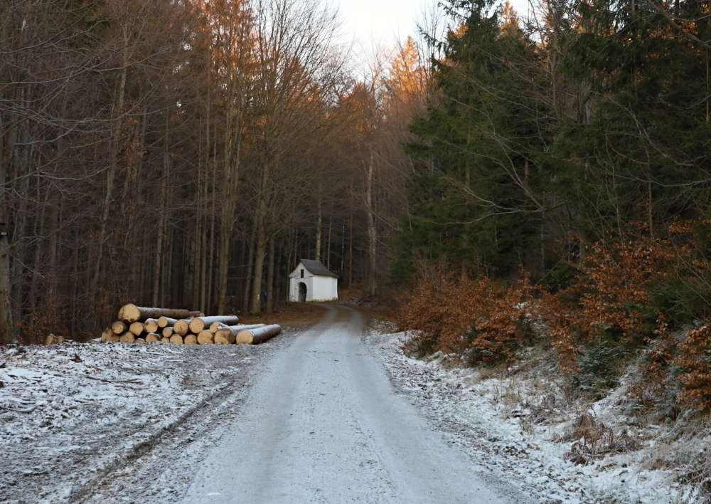 Zázračná studánka