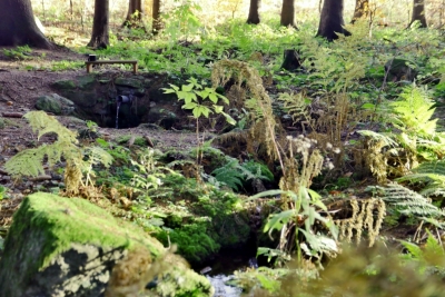 Studánka Karla Holuba