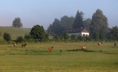 Větrný Jeníkov